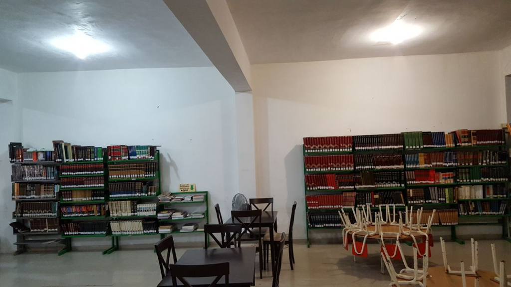 imagen1