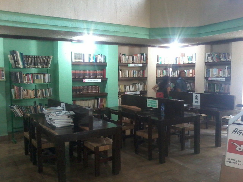 imagen1