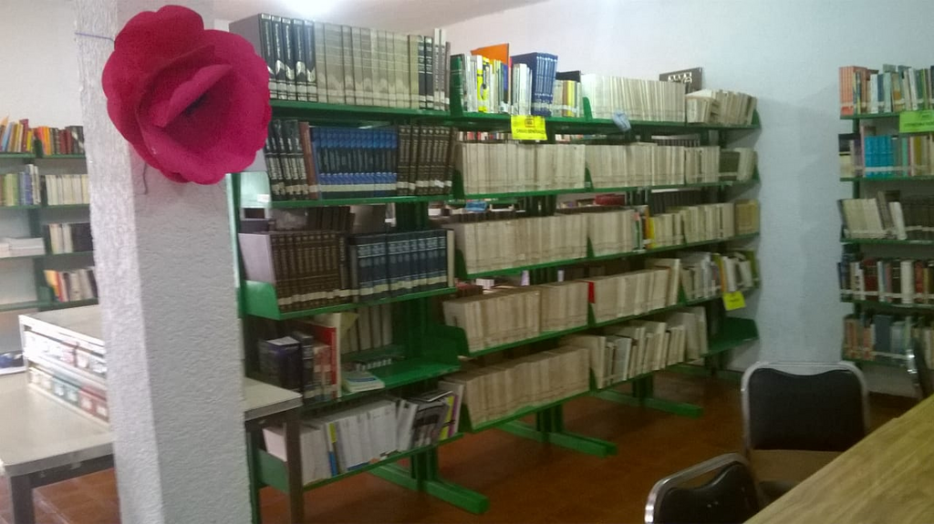 imagen2
