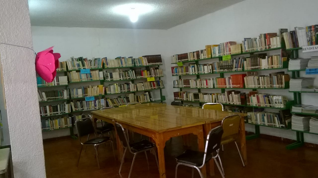 imagen3