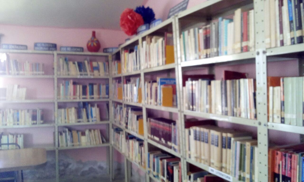 imagen1