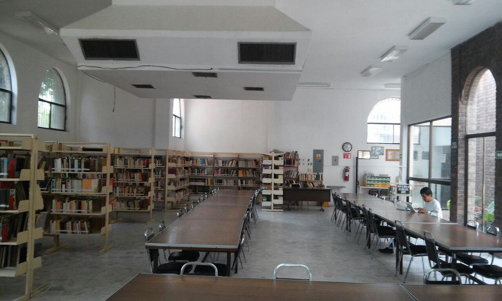 imagen3