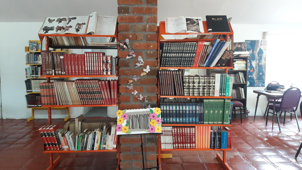imagen1
