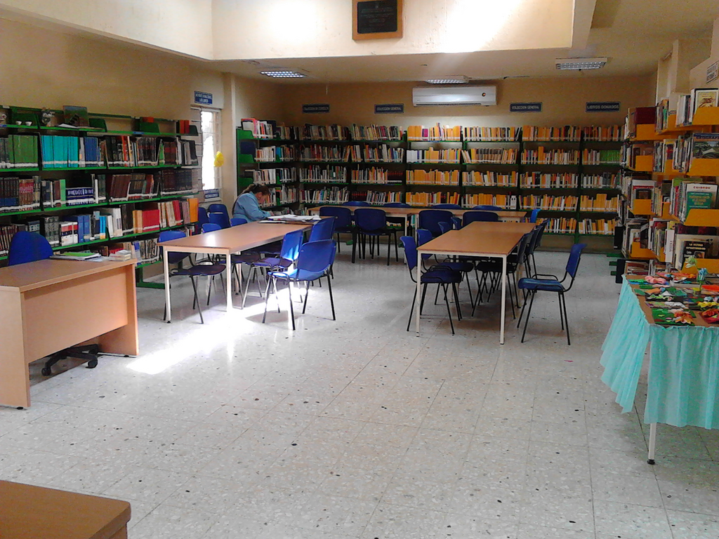 imagen3
