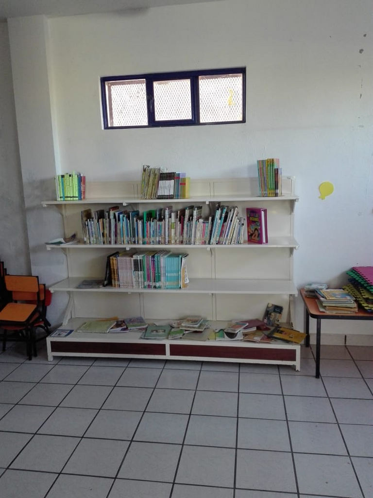 imagen2