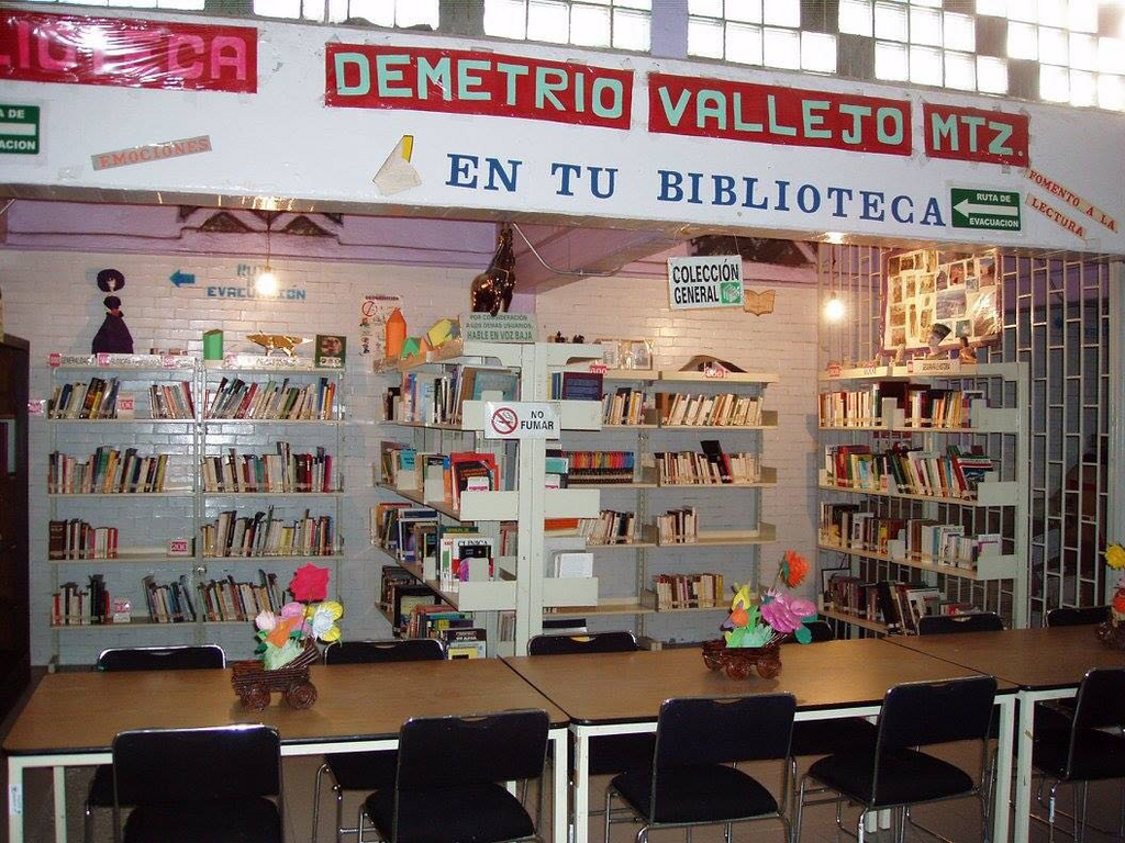 imagen1