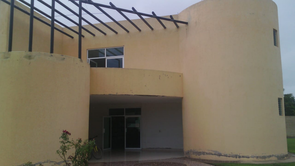 imagen3