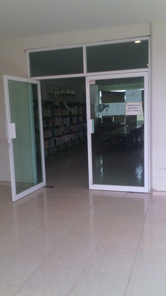 imagen1