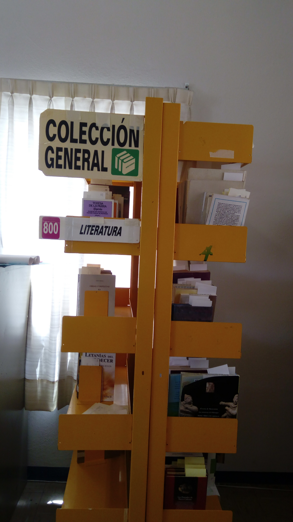 imagen1