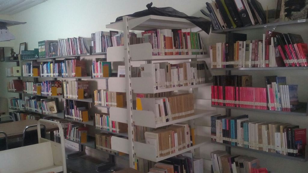 imagen2