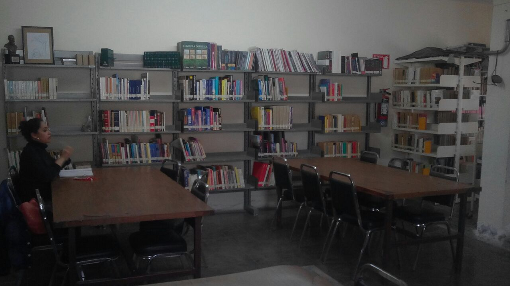 imagen3