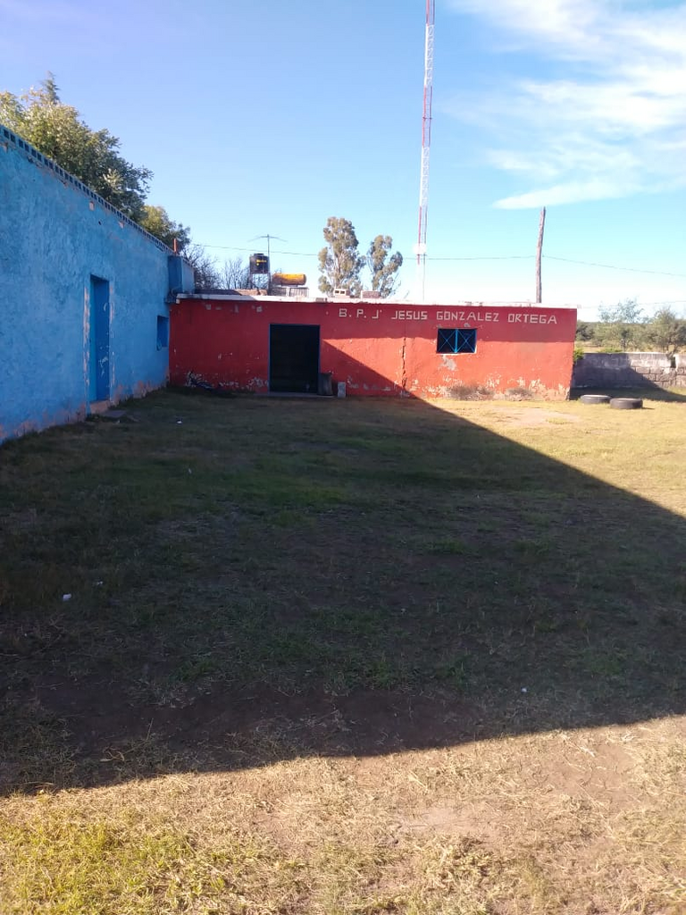 imagen2