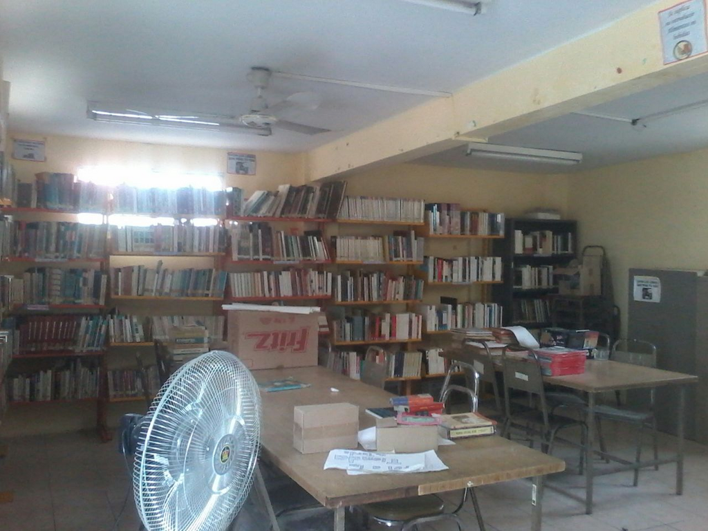 imagen3