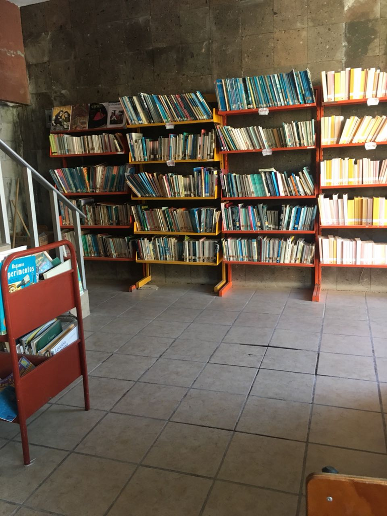 imagen1