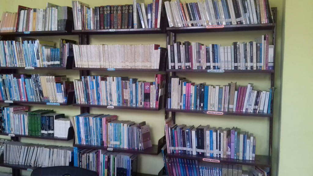 imagen3