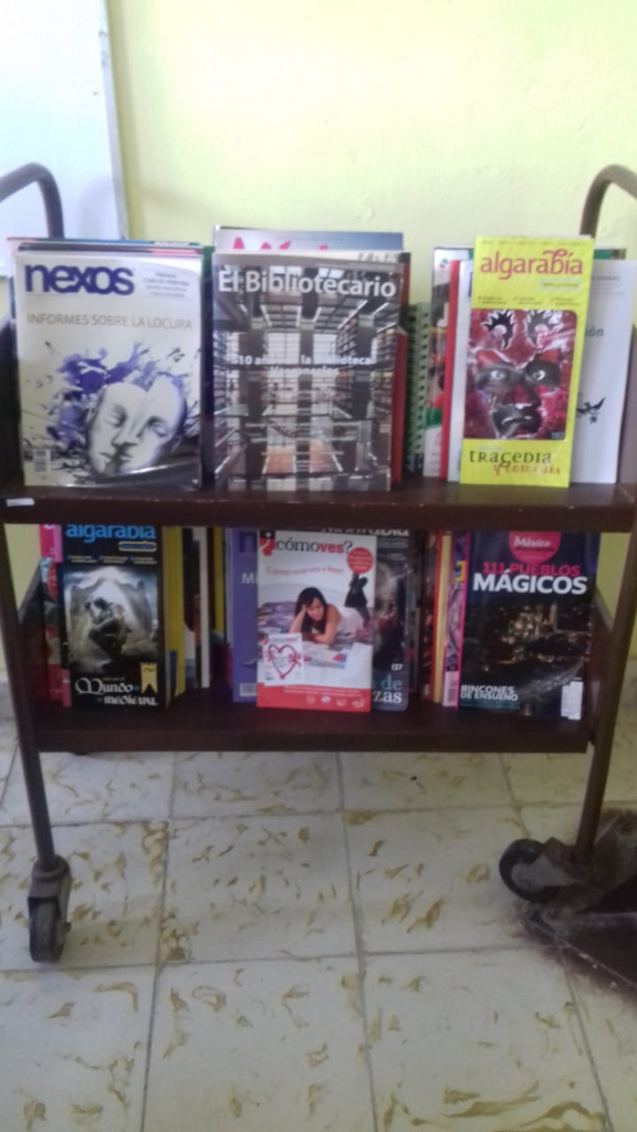 imagen1