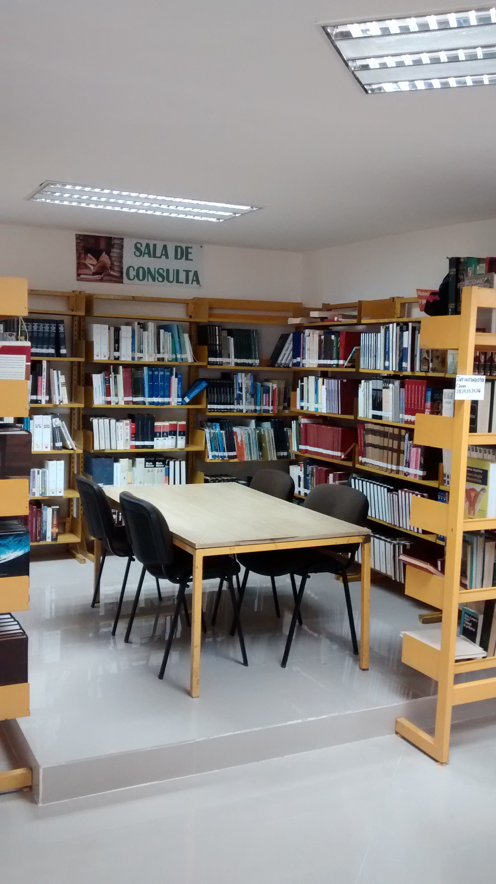 imagen1