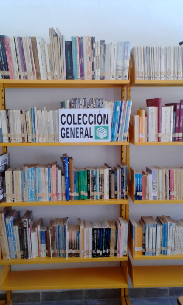 imagen3