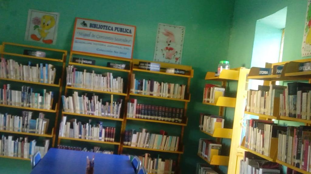 imagen1