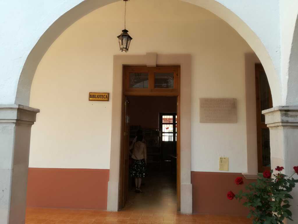 imagen2