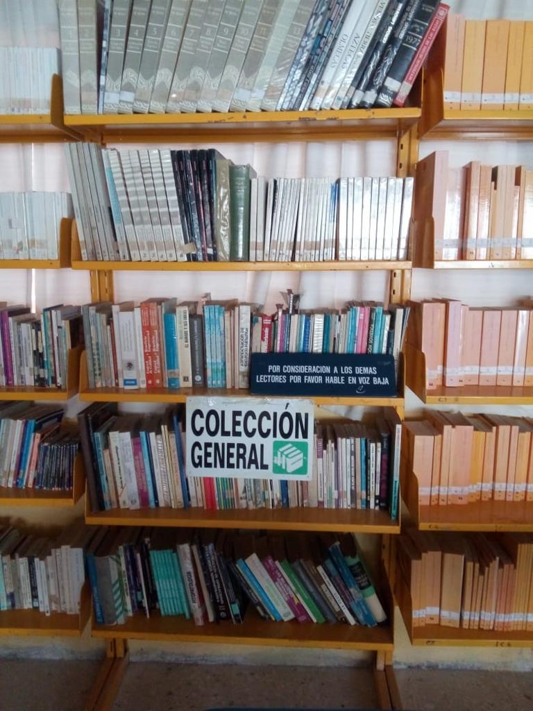 imagen2