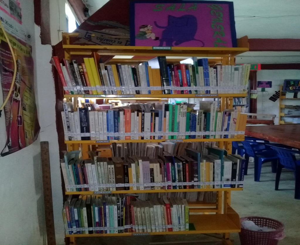 imagen2