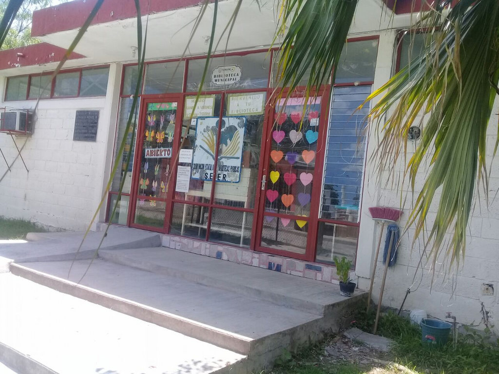 imagen3