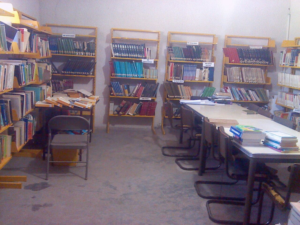 imagen1