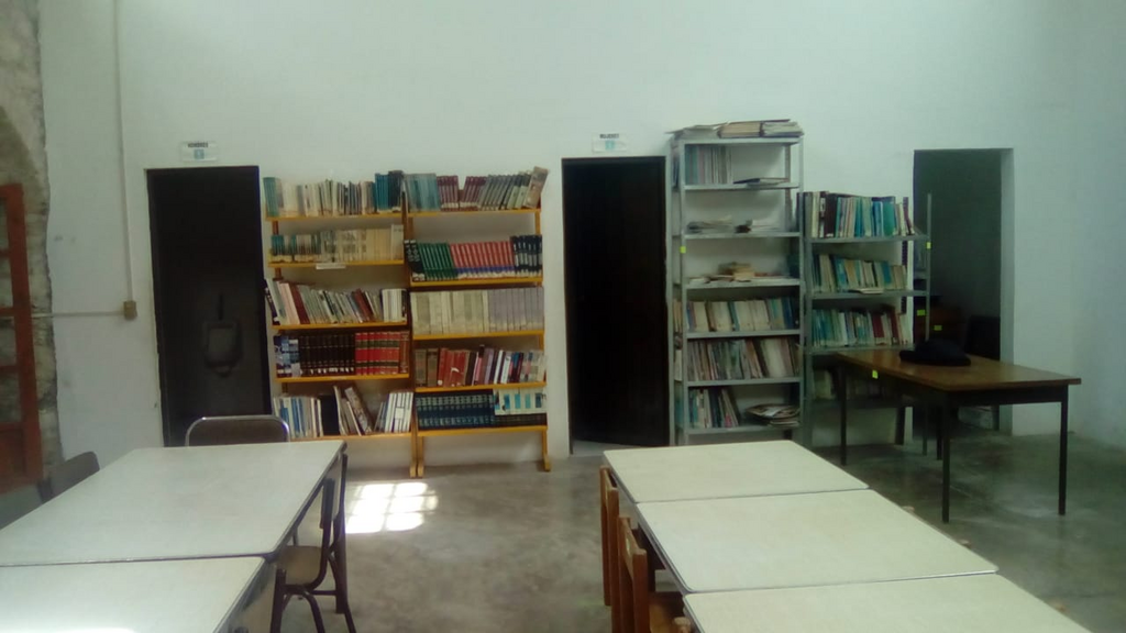 imagen3