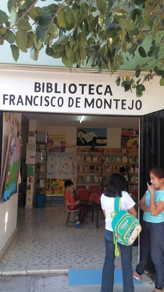 imagen3