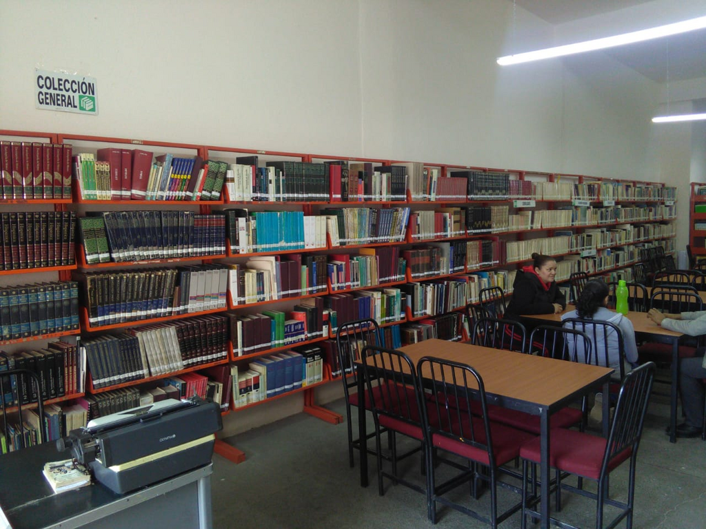imagen3
