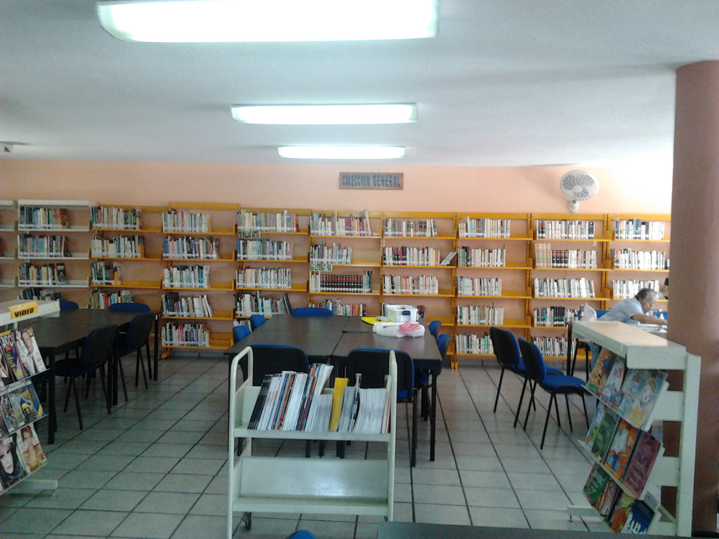 imagen3