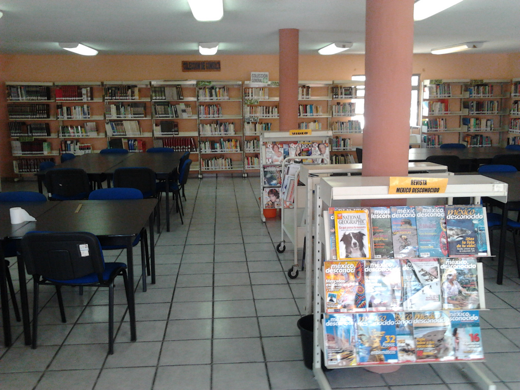 imagen1