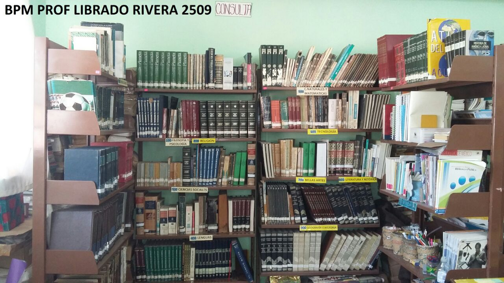 imagen2