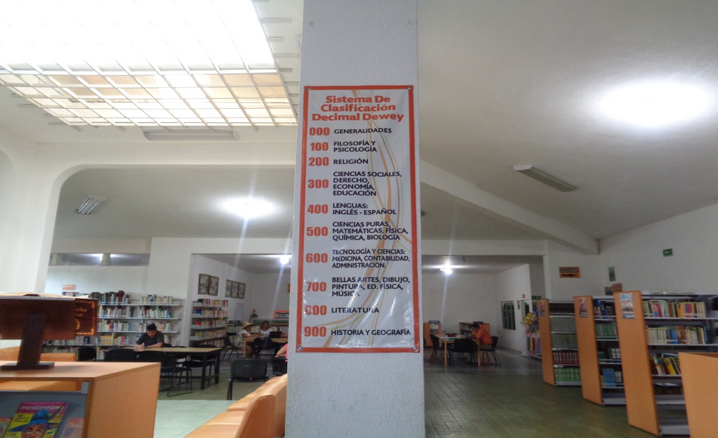 imagen3