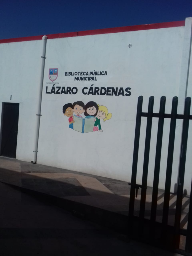 imagen3