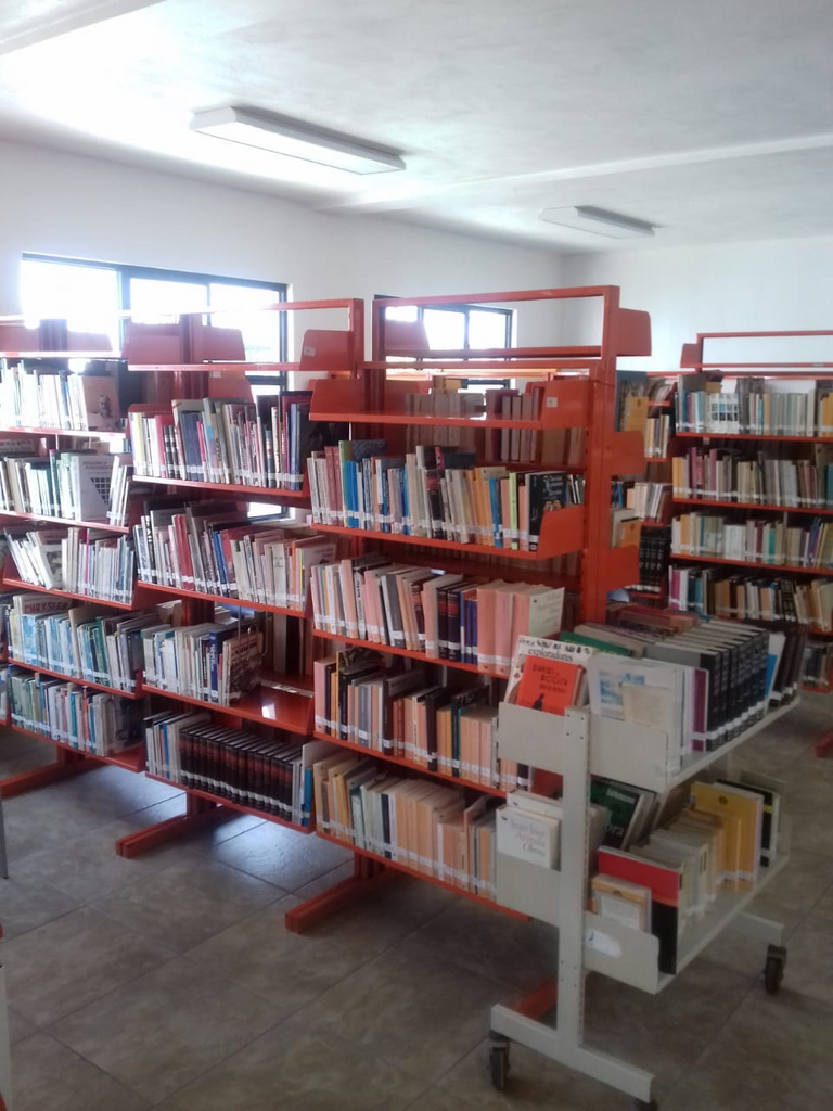 imagen3