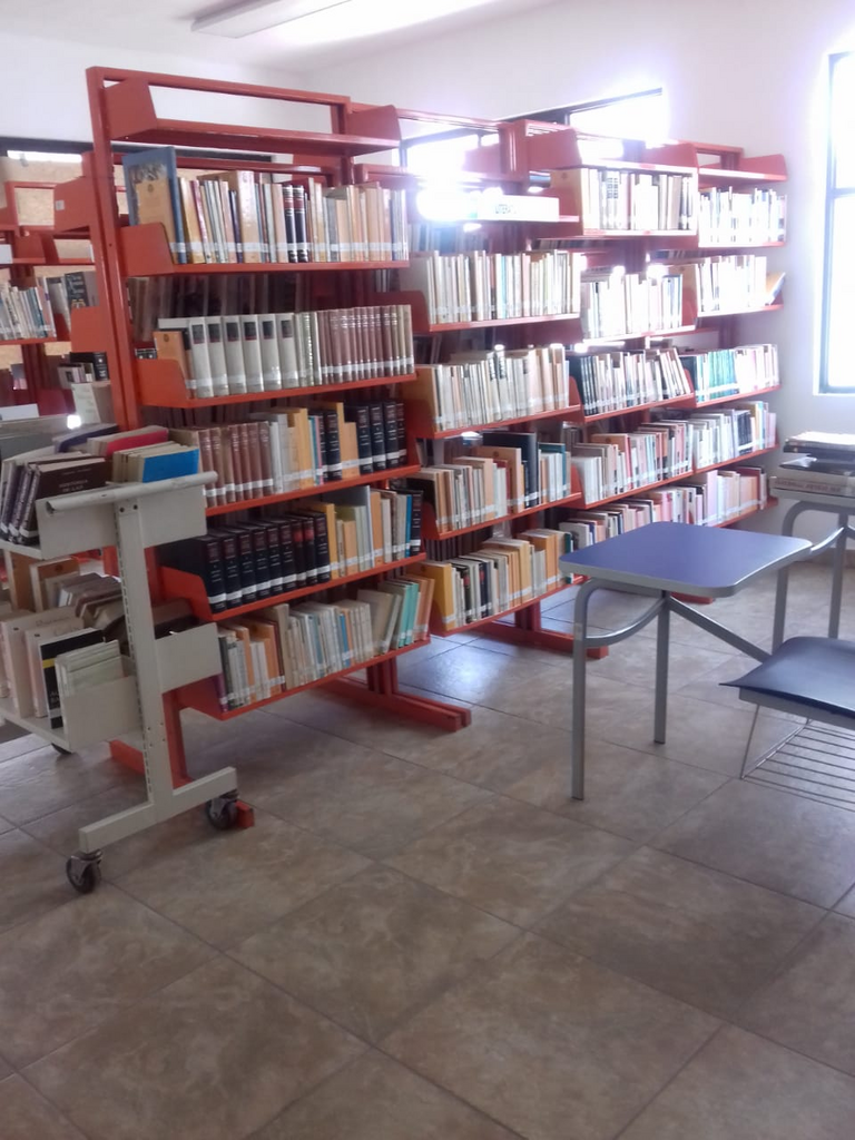 imagen2