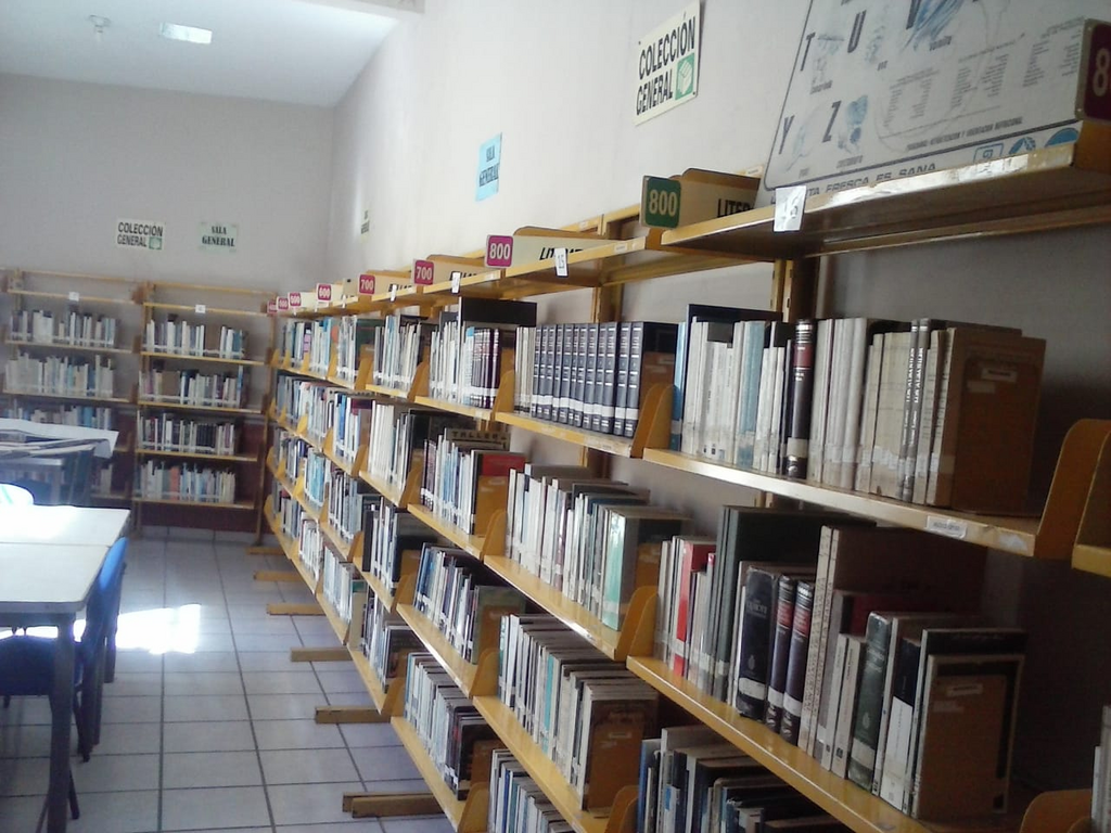 imagen1