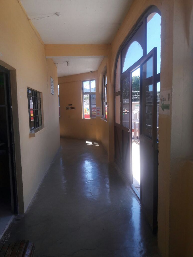 imagen1