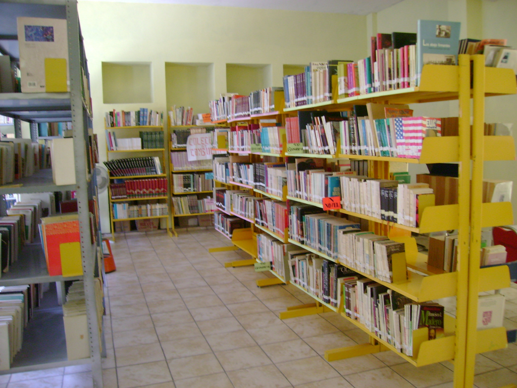 imagen3