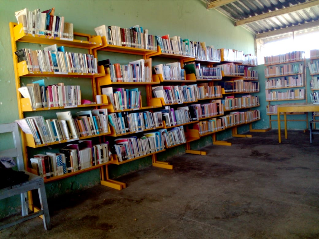 imagen3