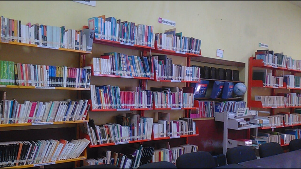 imagen1