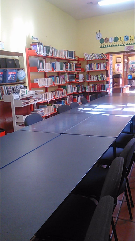 imagen3