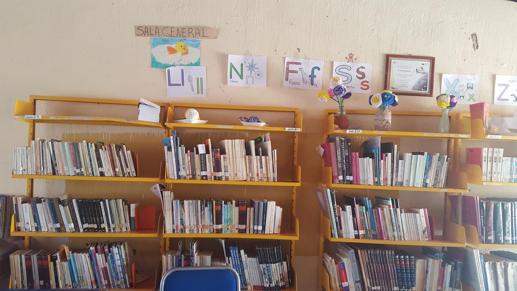 imagen1