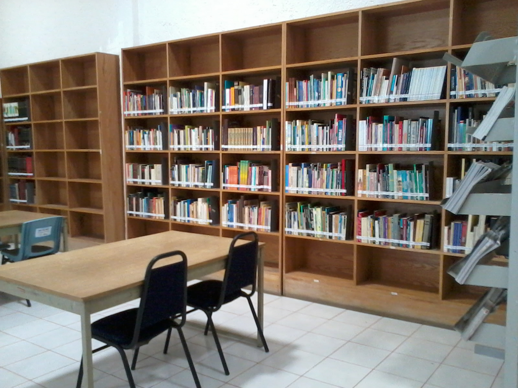 imagen1