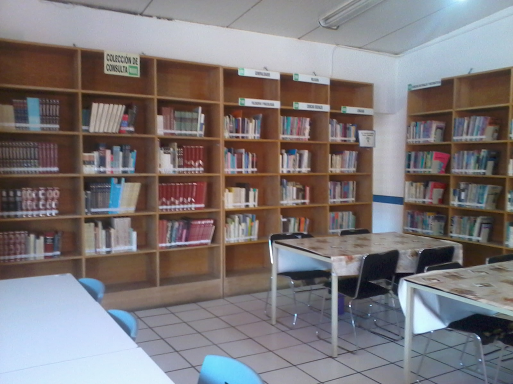 imagen1