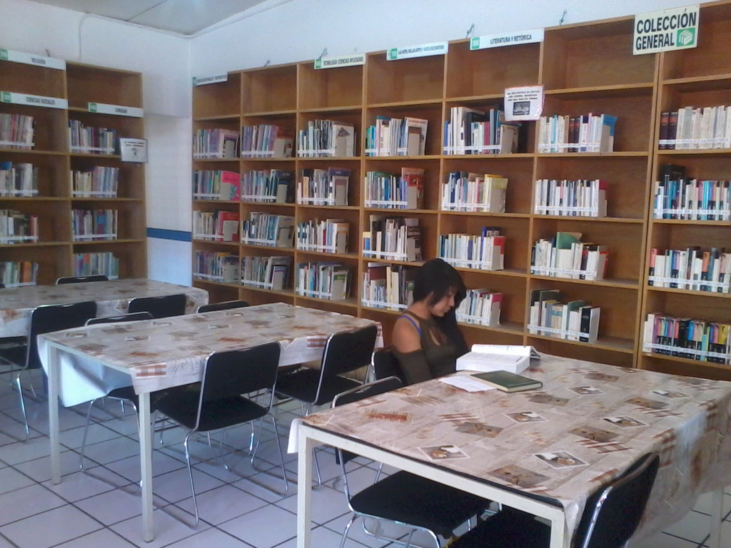 imagen3