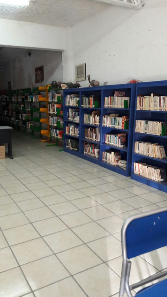 imagen1