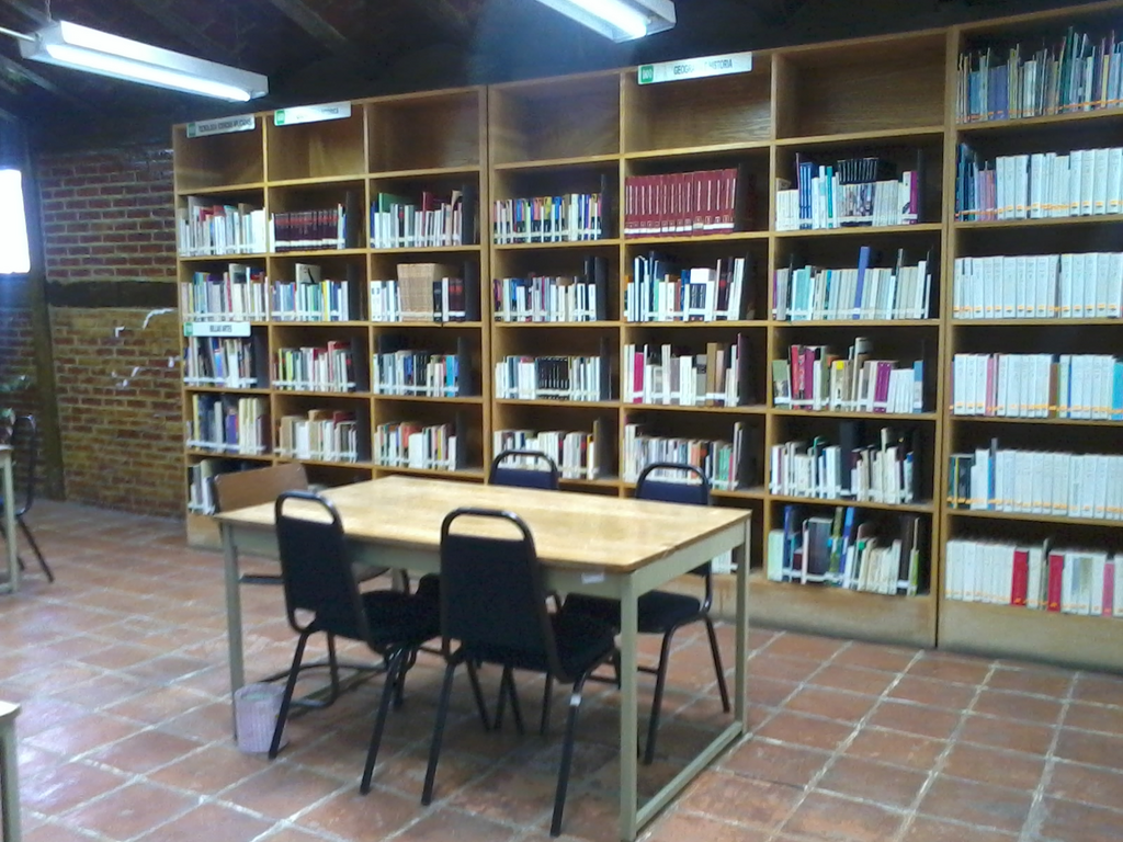 imagen1